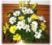 flowers2